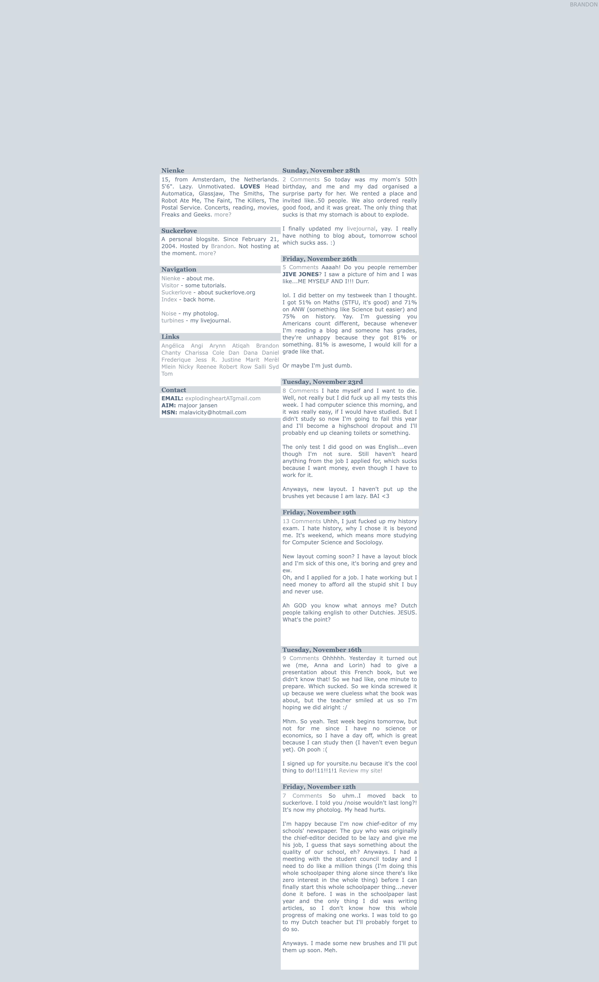 A blue-grey page with a white sidebar about Nienke and a long white column of blog posts